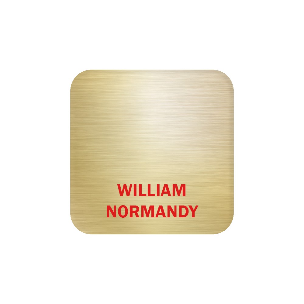 Picture of Aspen Metal Name Badge (Custom sized between 3 and 6 sq. in.)