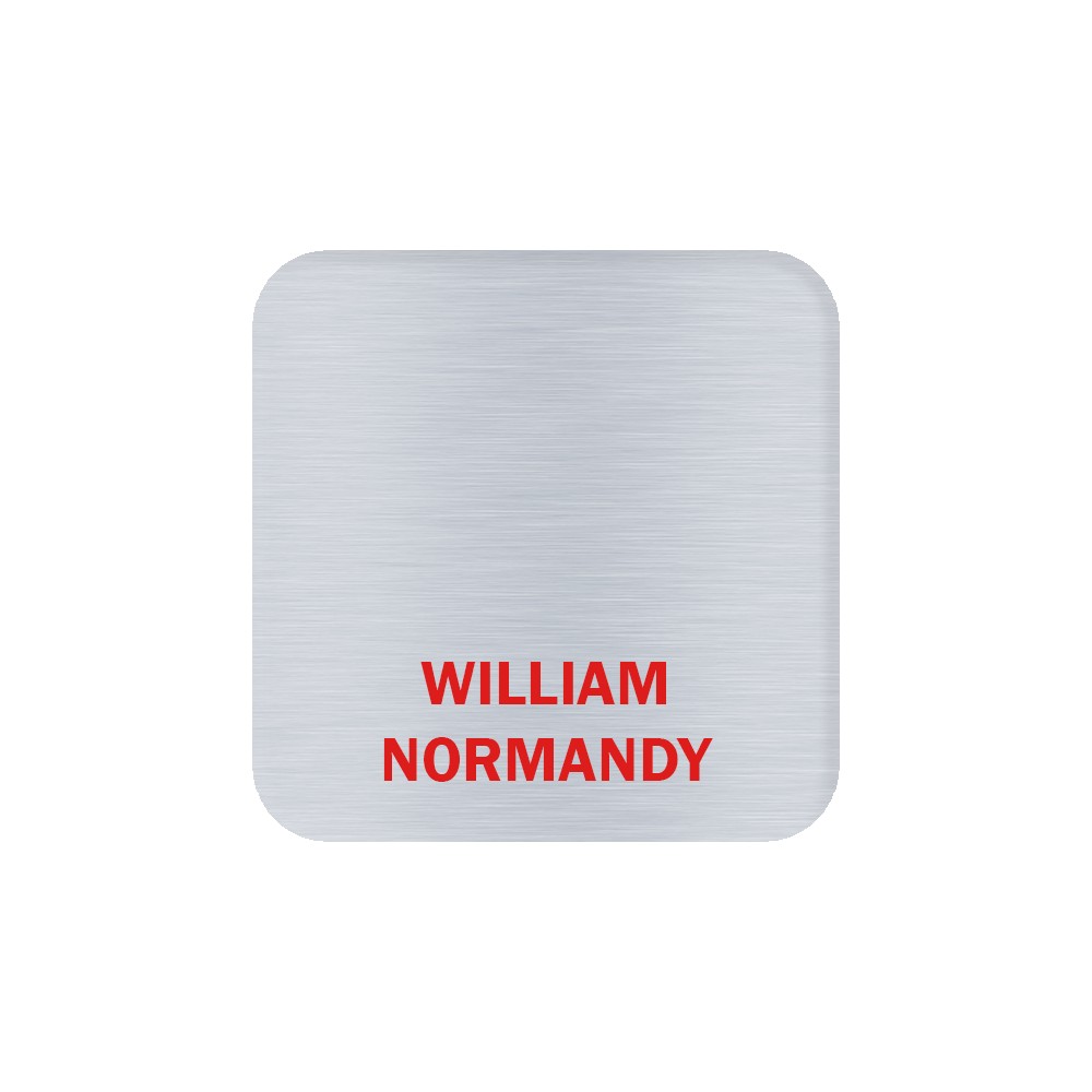 Picture of Aspen Metal Name Badge (Custom sized between 3 and 6 sq. in.)