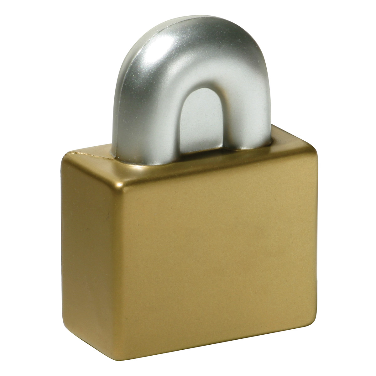 Picture of Padlock Stress Reliever