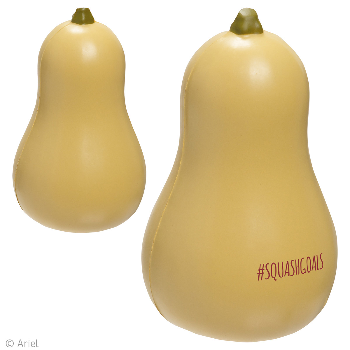 Picture of Squash Stress Reliever