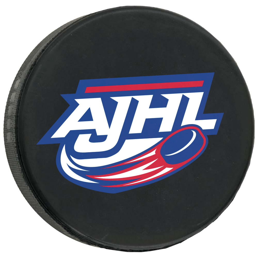 Picture of Official Hockey Puck