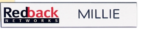 Picture of Chicago Plastic Name Badge (Custom sized between 0 and 3 sq. in.)