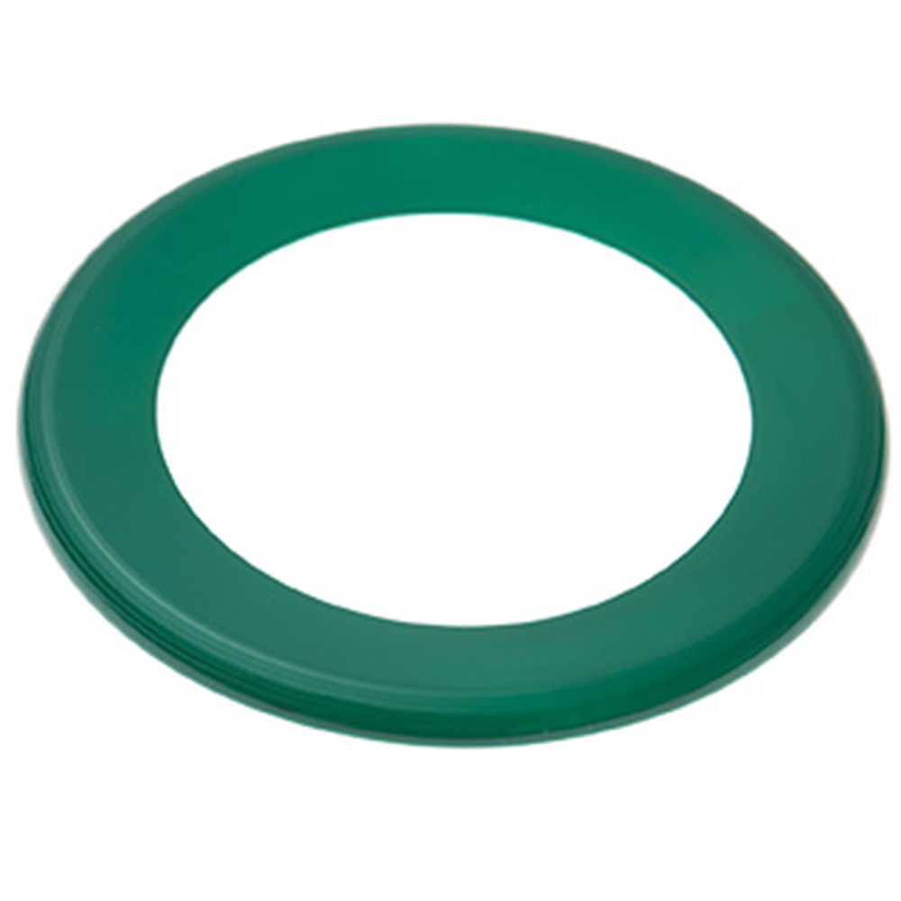 Picture of Wing Ring Flyer Disc