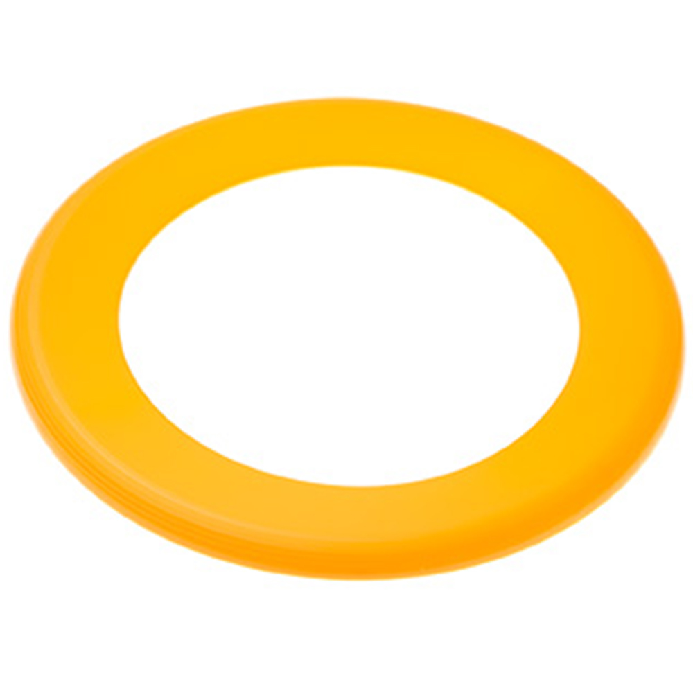 Picture of Wing Ring Flyer Disc
