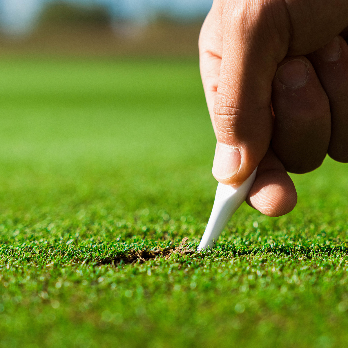 Picture of Caddy Splash Divot Tee
