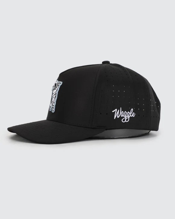 Picture of Waggle Moon Shot Hat