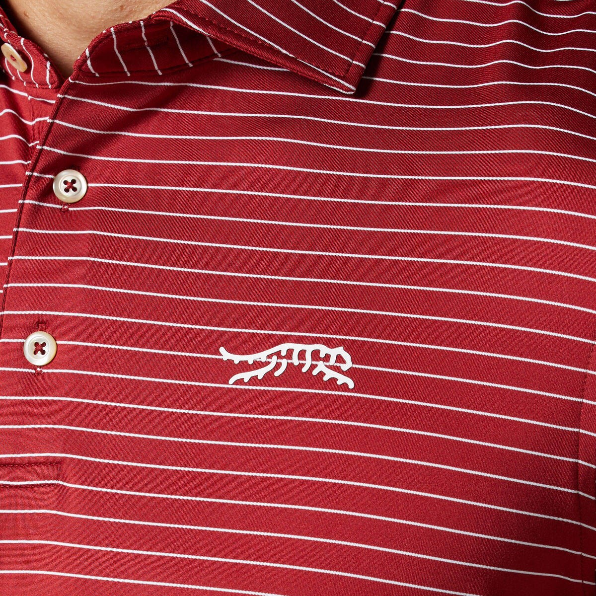 Picture of Sun Day Red Men's Stripe Polo II
