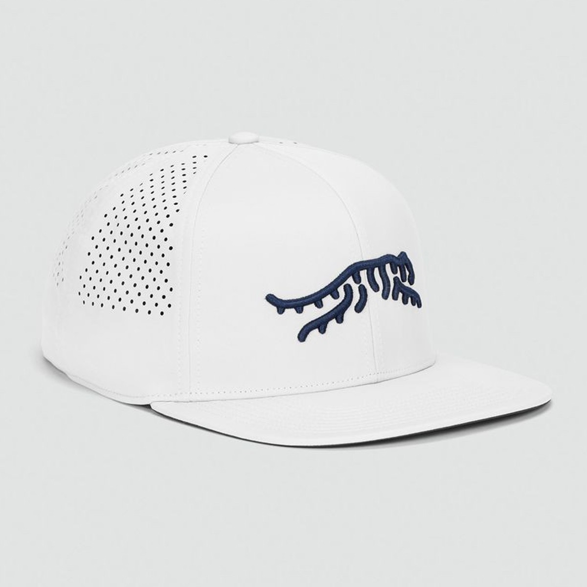 Picture of Sun Day Red Icon Perf Flatbill Hat II