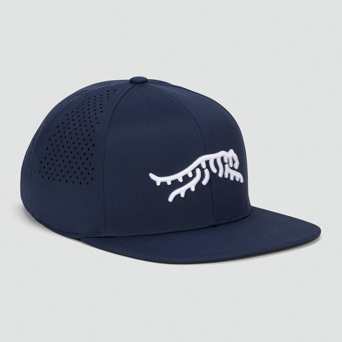 Picture of Sun Day Red Icon Perf Flatbill Hat II