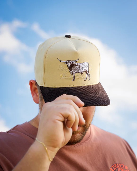 Picture of Waggle Steer Corduroy Brim Hat