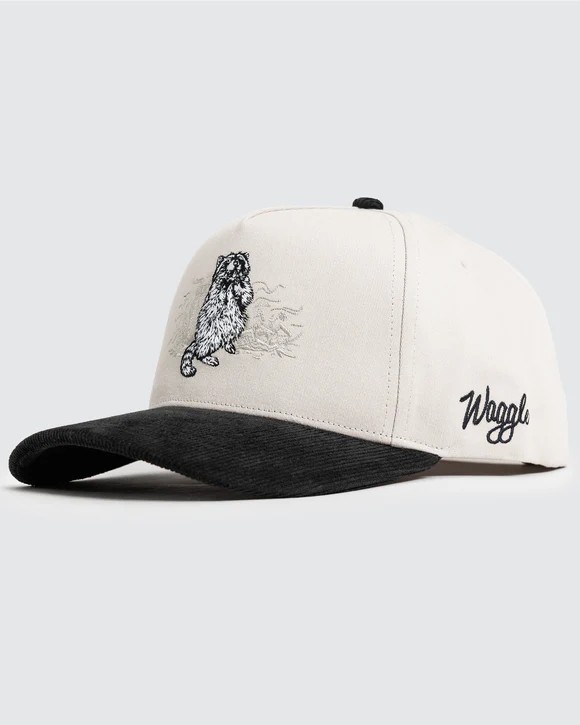 Picture of Waggle Trash Bandit Corduroy Brim Hat