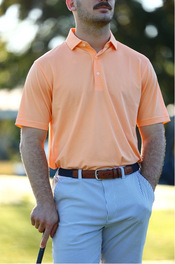 Picture of Donald Ross Detroit Solid Oxford Pique