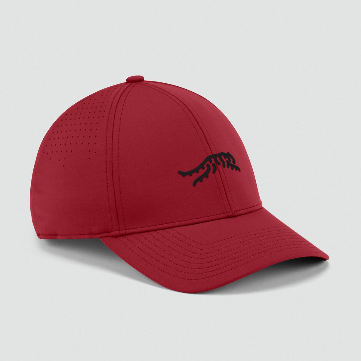 Picture of Sun Day Red Cypress Tour Snapback