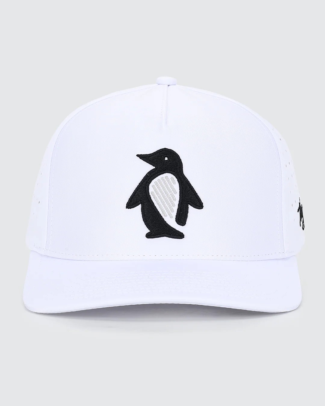 Picture of Waggle Waddle Wedge Hat
