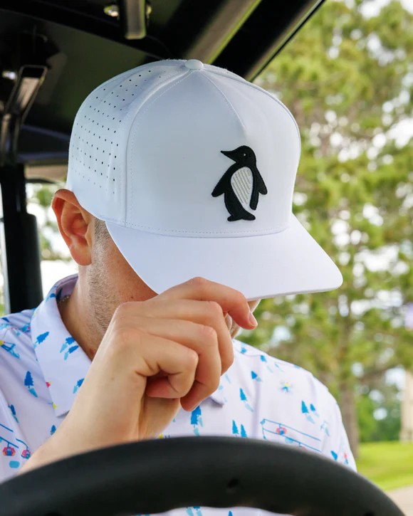 Picture of Waggle Waddle Wedge Hat
