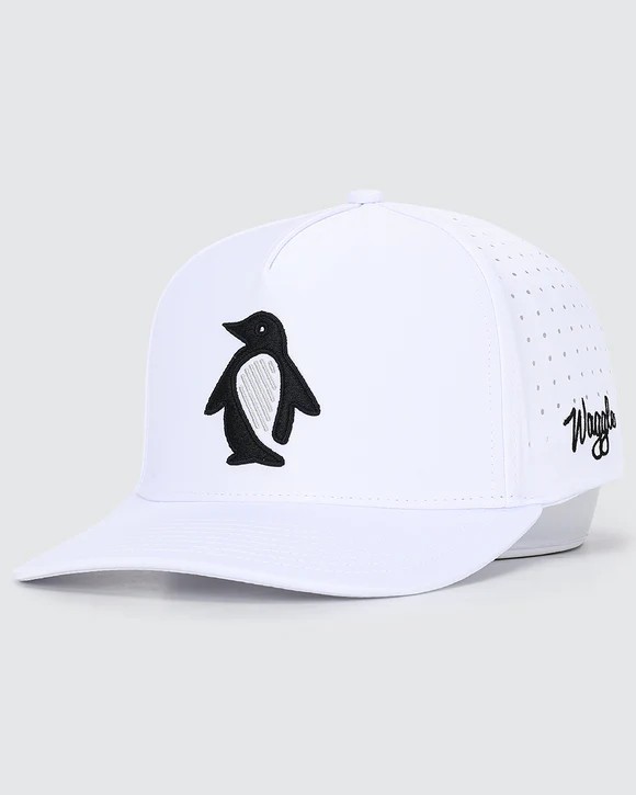 Picture of Waggle Waddle Wedge Hat