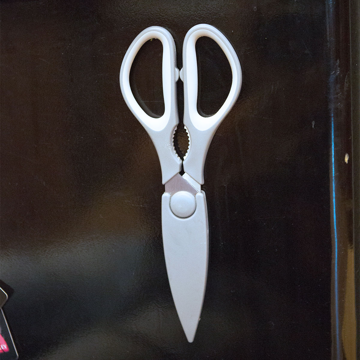 Picture of Kitchen Scissors