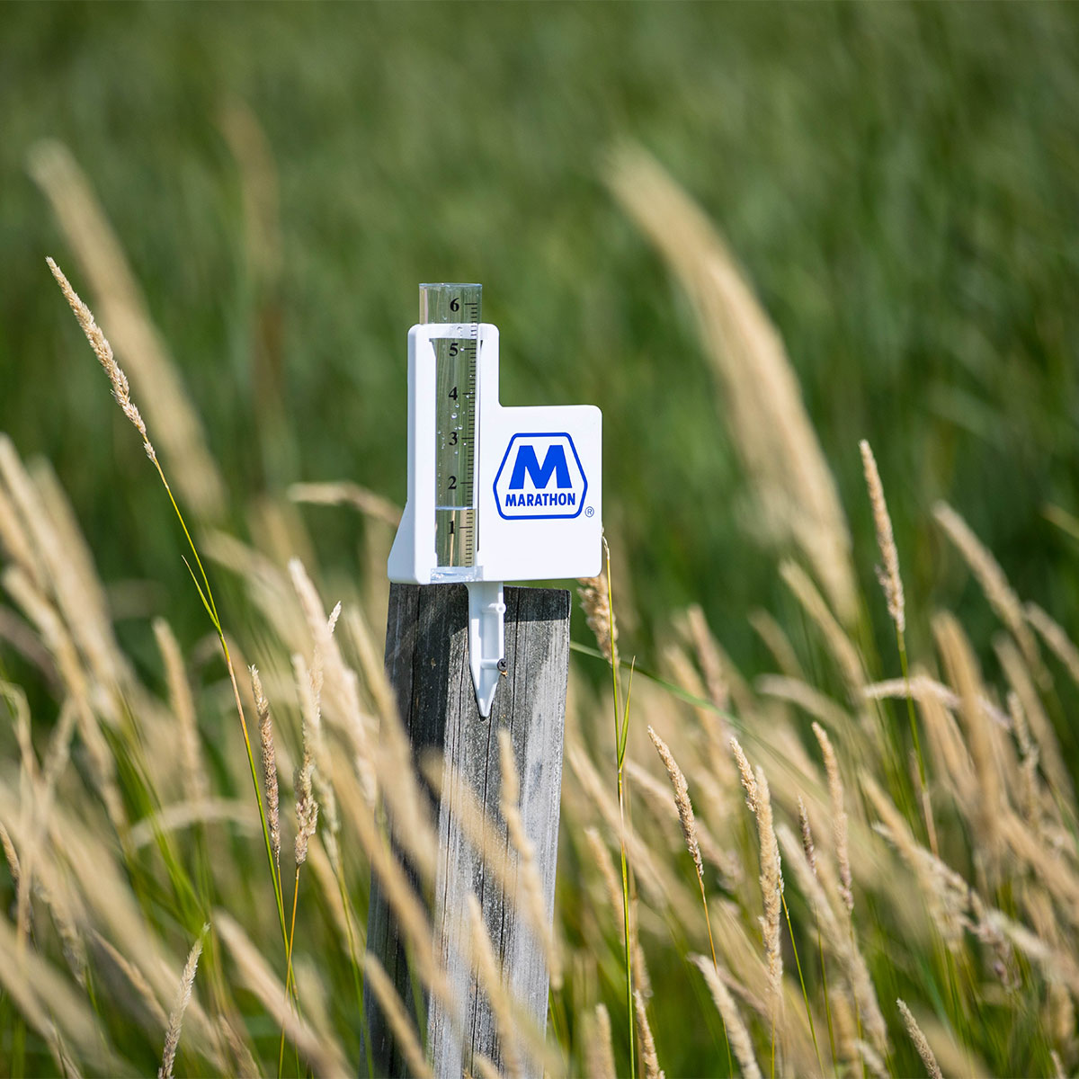 Picture of Classic Jumbo Rain Gauge