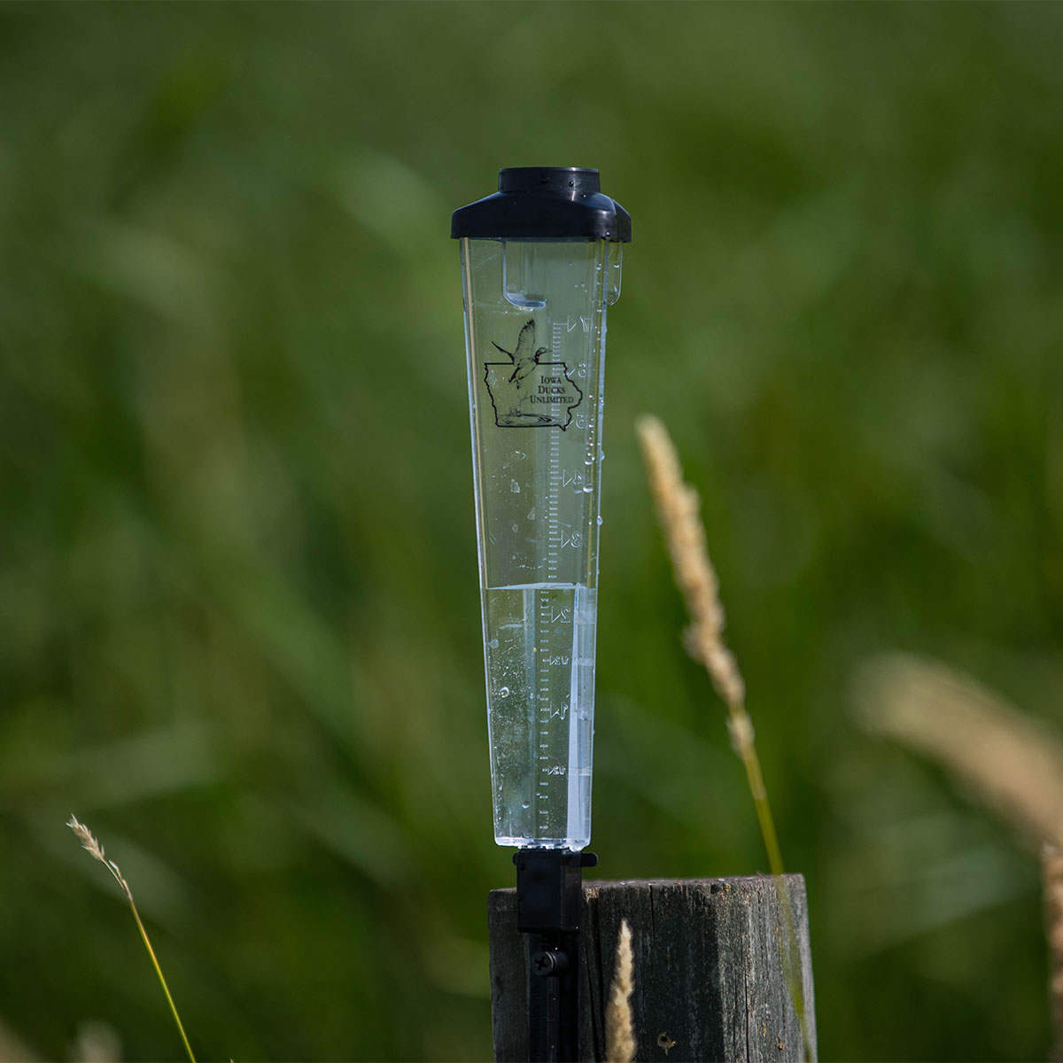 Picture of Triangle Rain Gauge