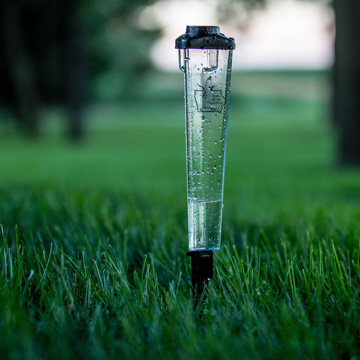 Picture of Triangle Rain Gauge