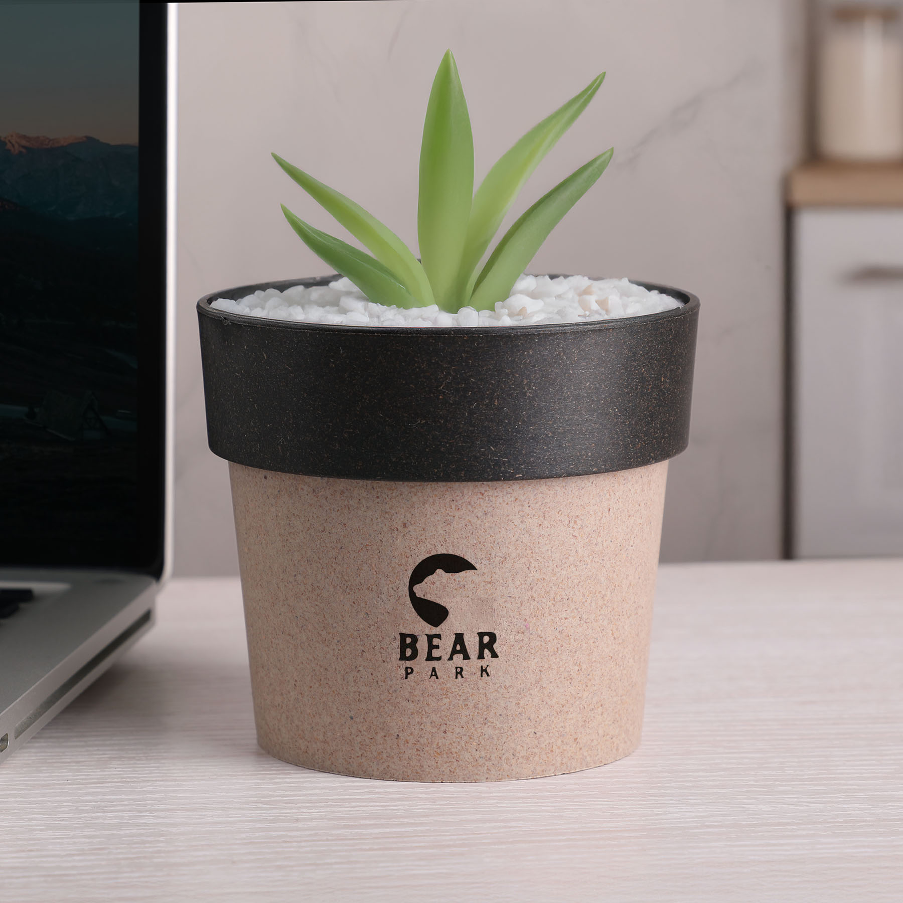 Picture of Regen Eco Planting Pot