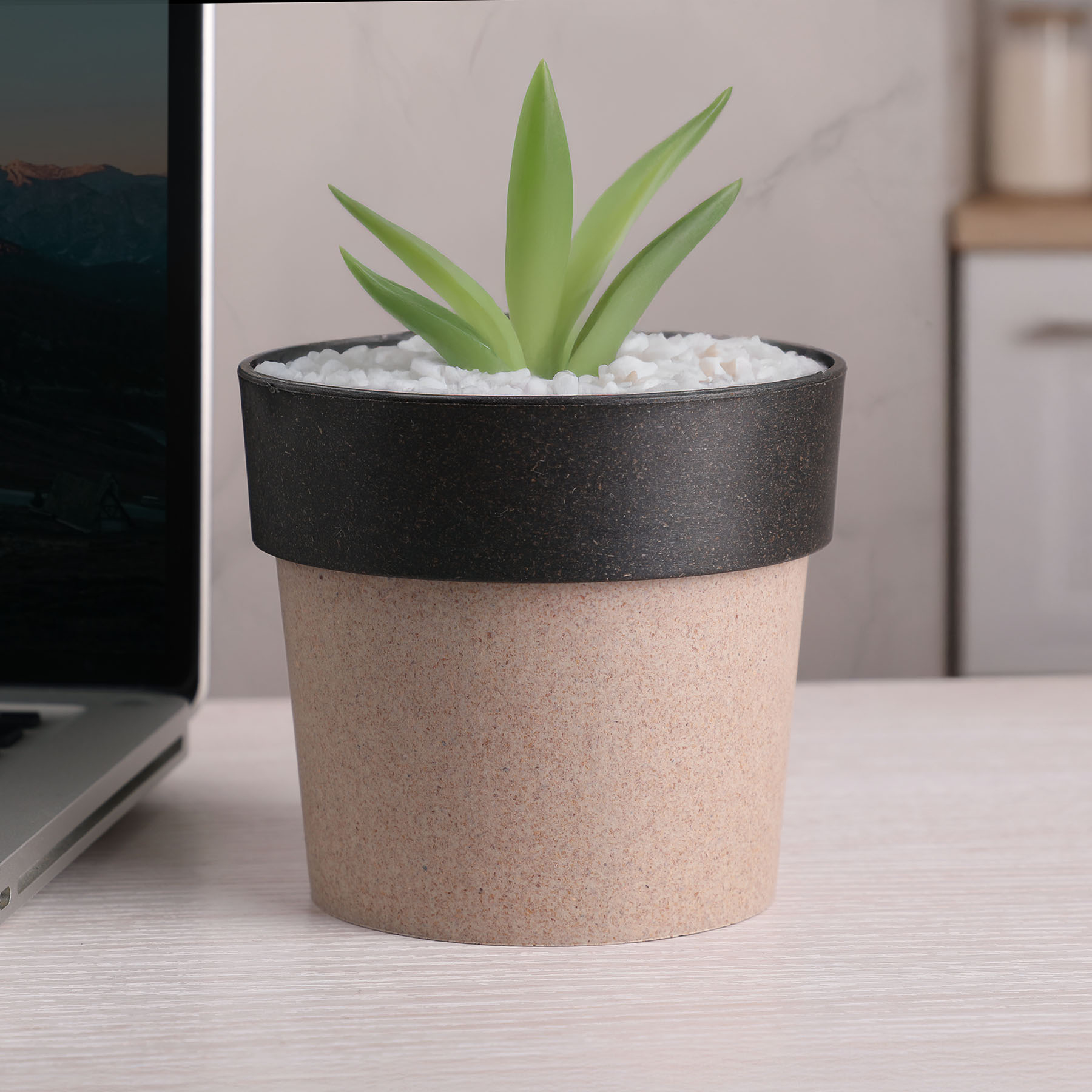 Picture of Regen Eco Planting Pot