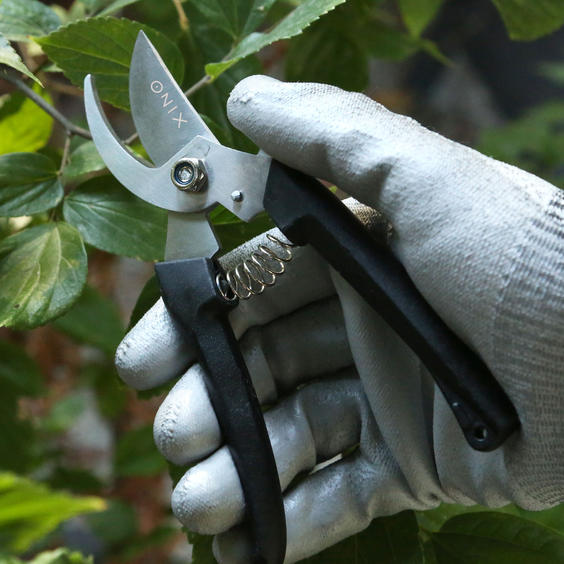 Picture of Garden Pruning Shears