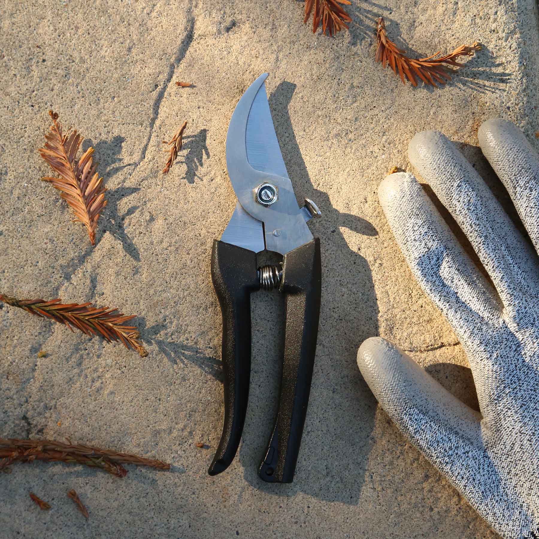 Picture of Garden Pruning Shears