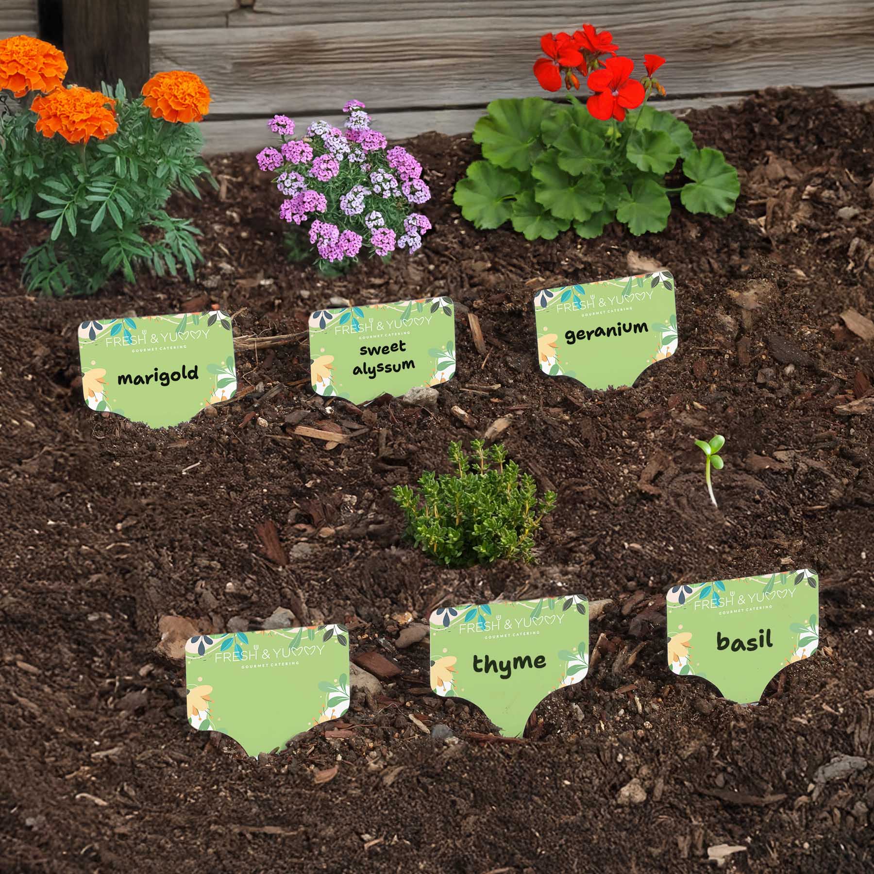 Picture of Evergreen 6 Pc. Garden Stake Set