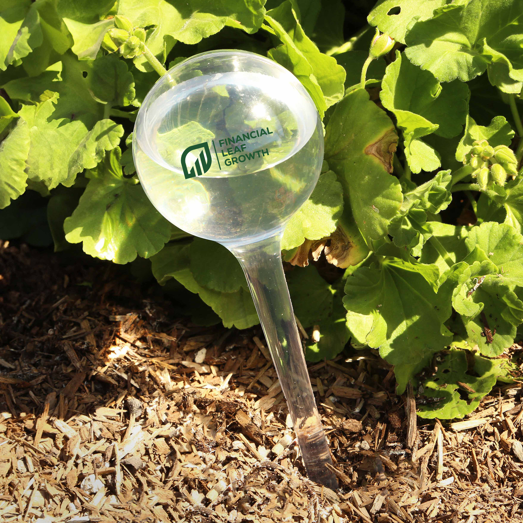 Picture of Evergreen Self-Watering Globe