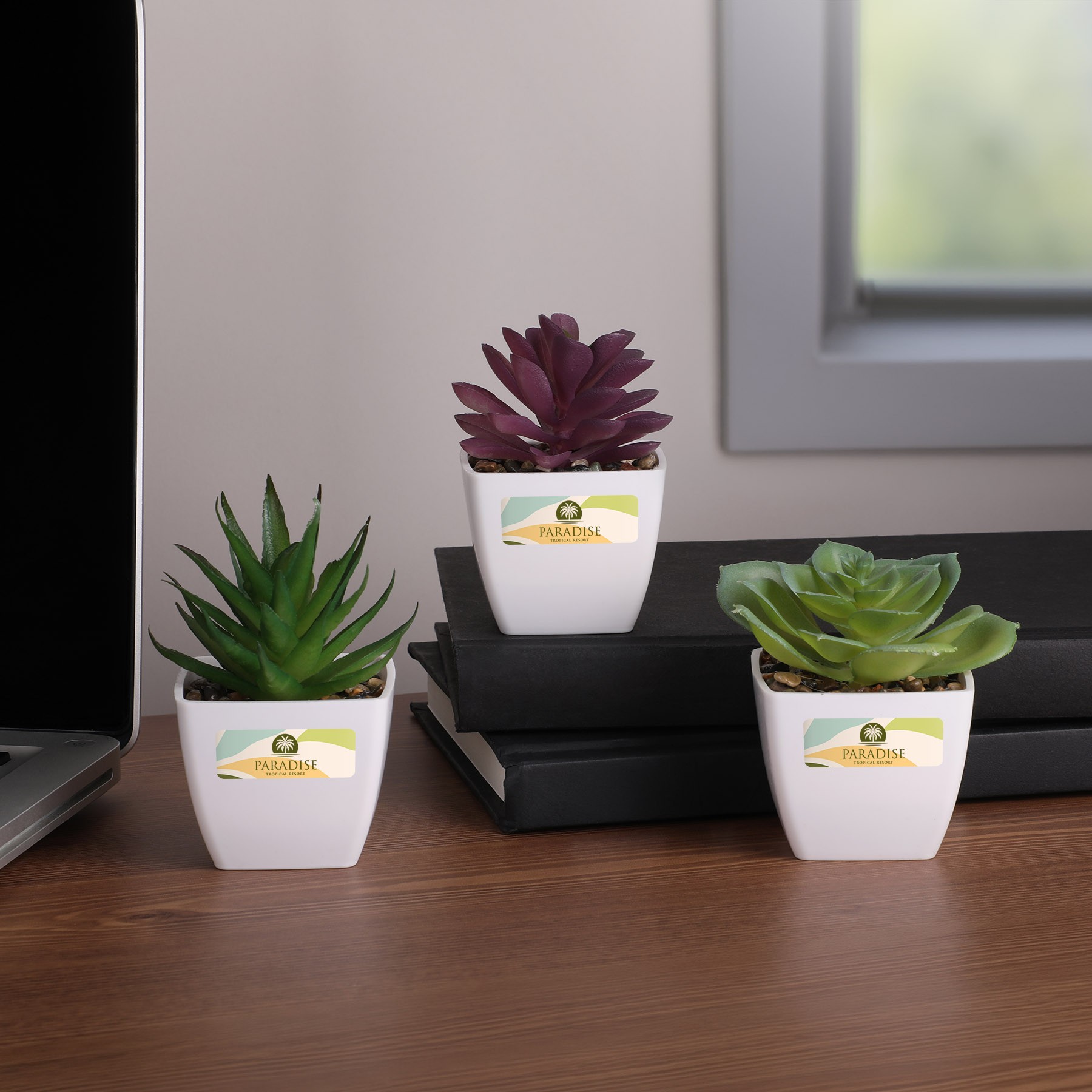 Picture of Sprout Artificial Succulent