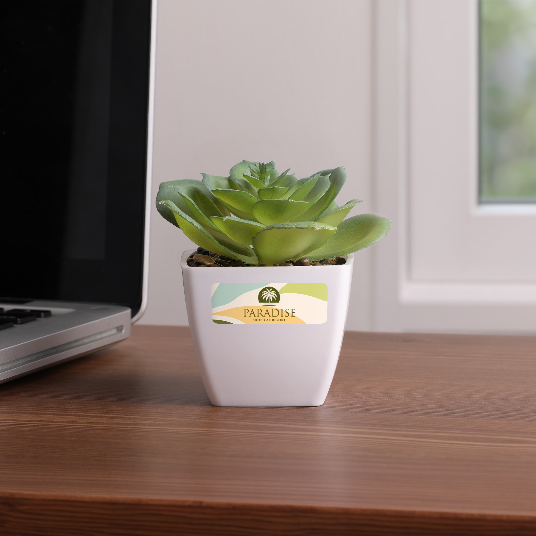 Picture of Sprout Artificial Succulent