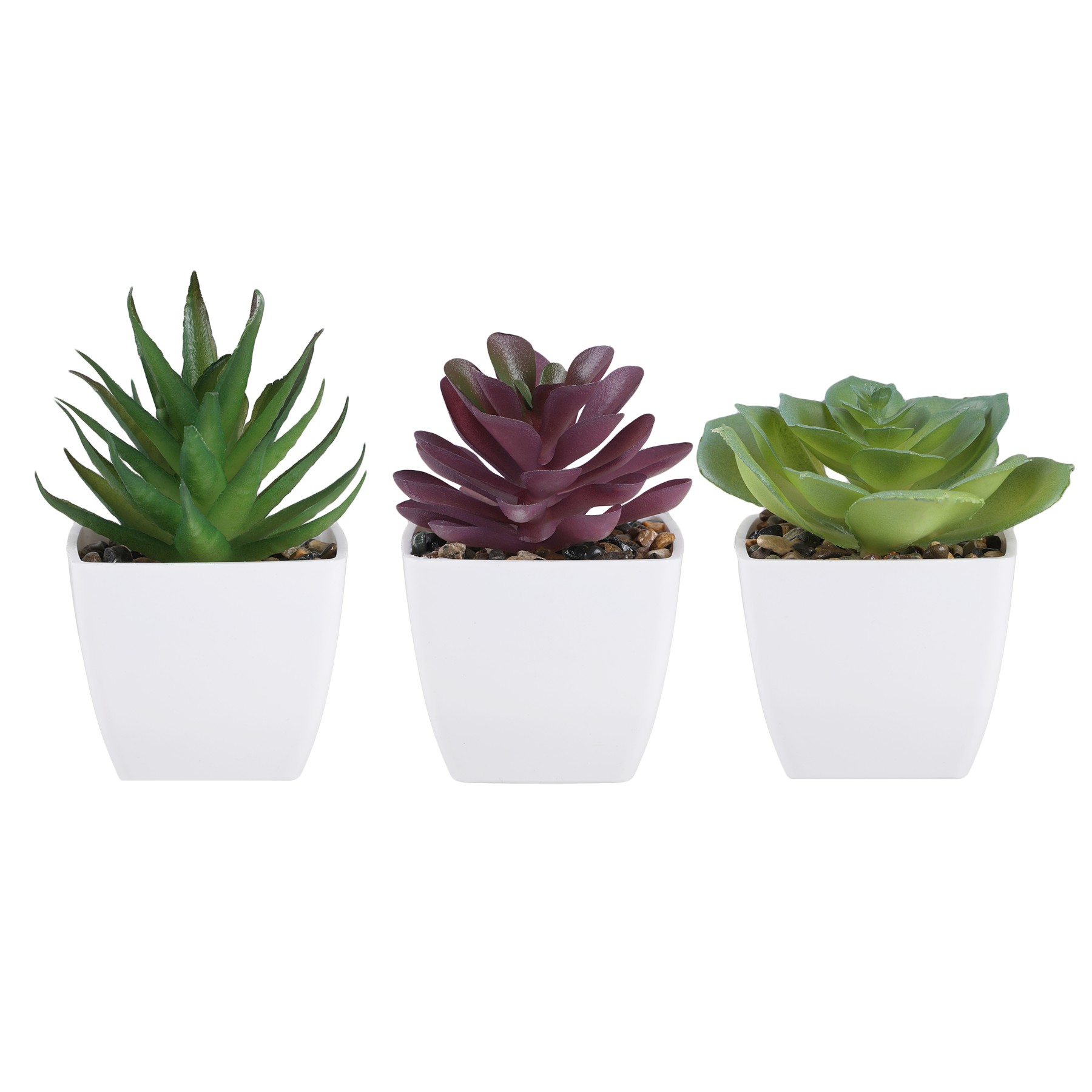 Picture of Sprout Artificial Succulent