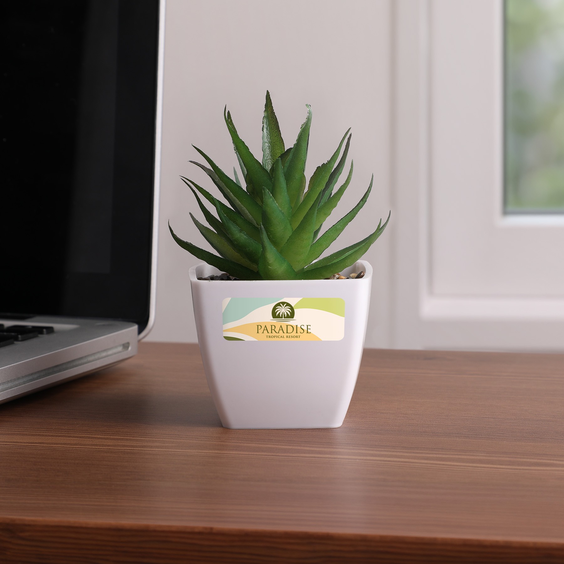 Picture of Sprout Artificial Succulent