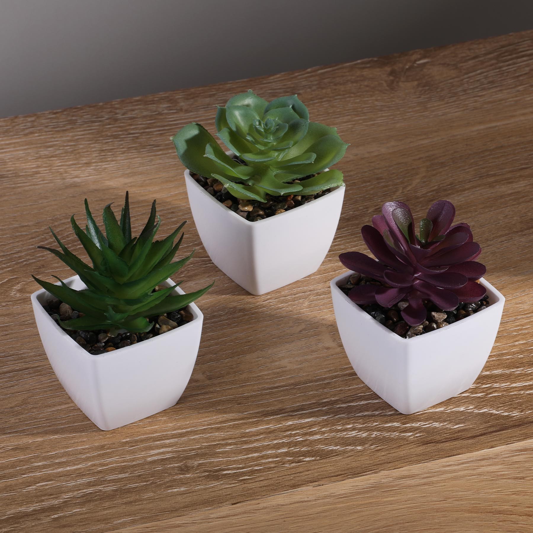 Picture of Sprout Artificial Succulent
