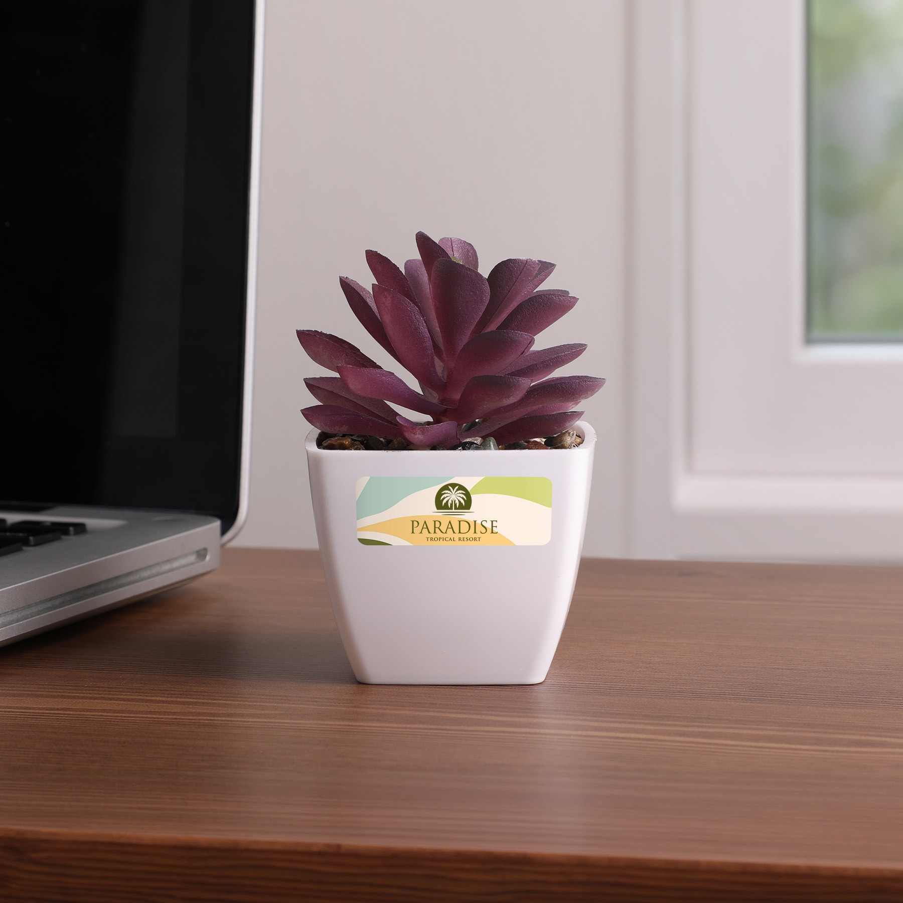 Picture of Sprout Artificial Succulent
