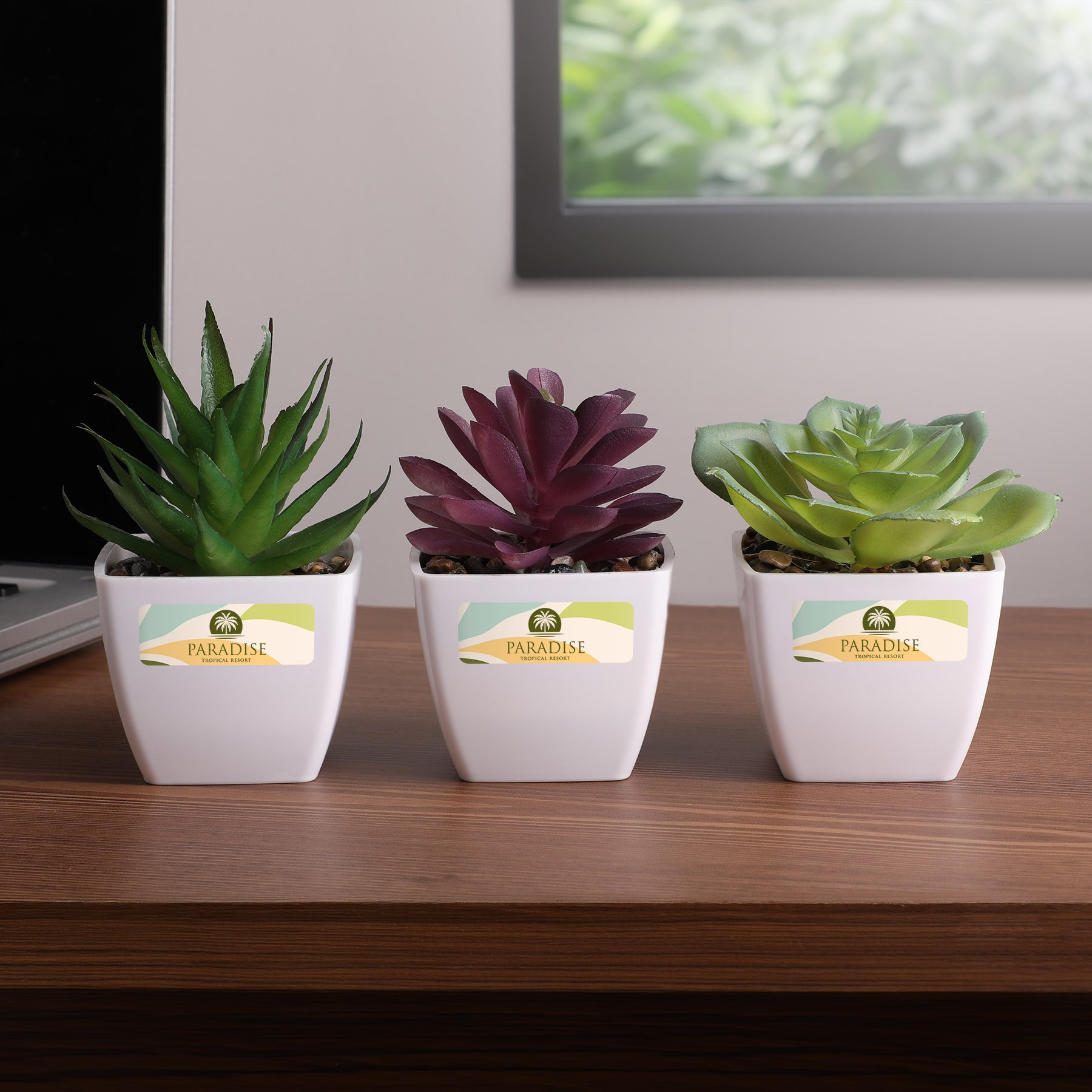 Picture of Sprout Artificial Succulent