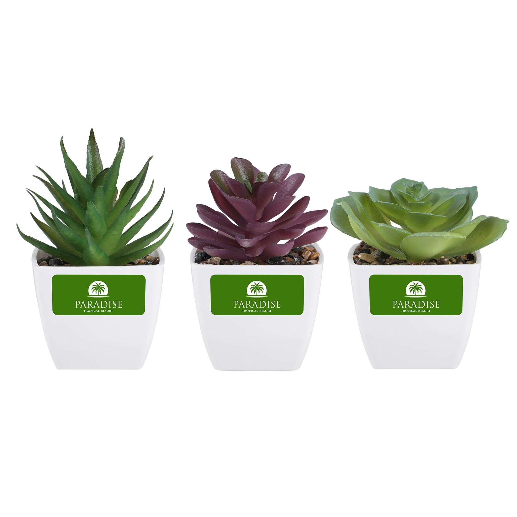 Picture of Sprout Artificial Succulent