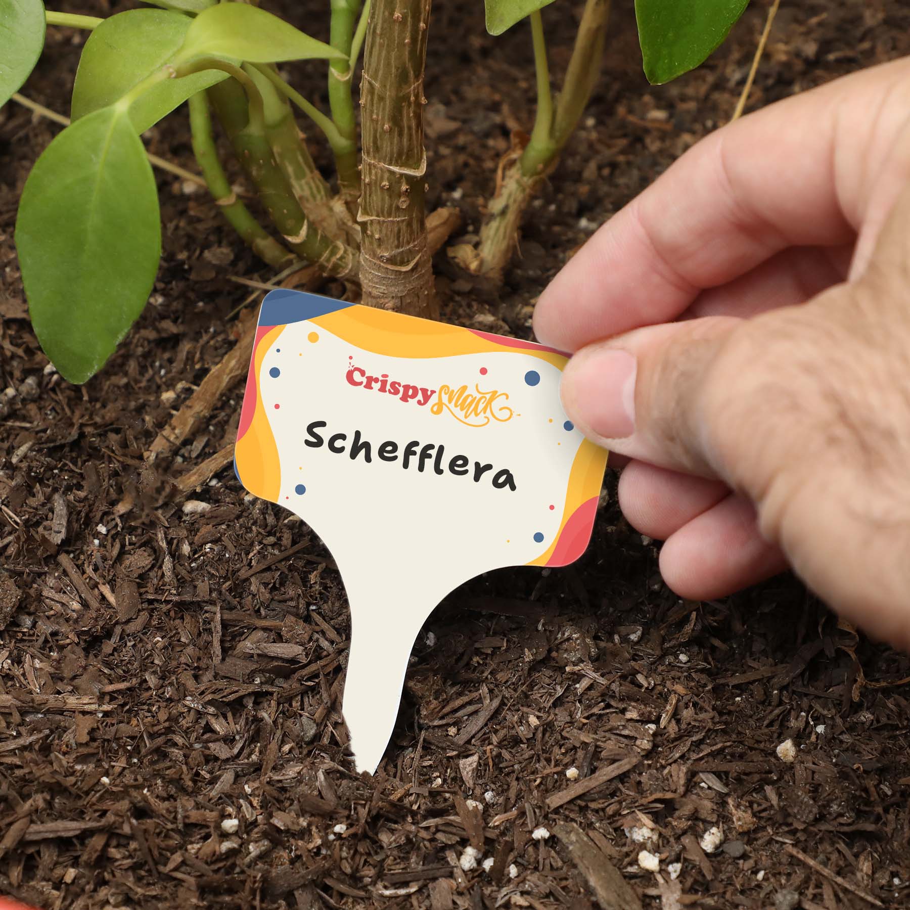 Picture of Evergreen Garden Stake (Single)