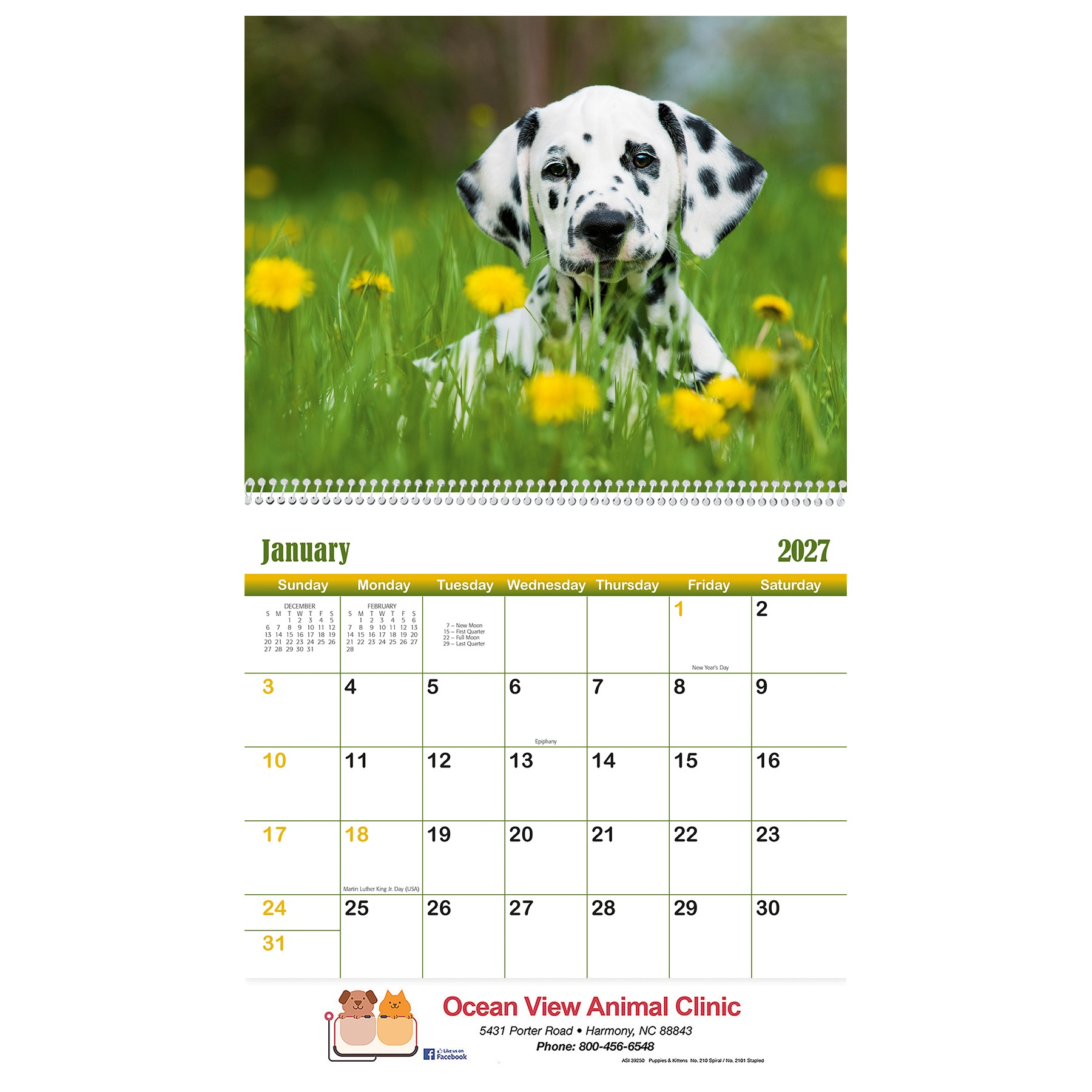 Picture of Puppies & Kittens Wall Calendar: 2027 Spiral Bound