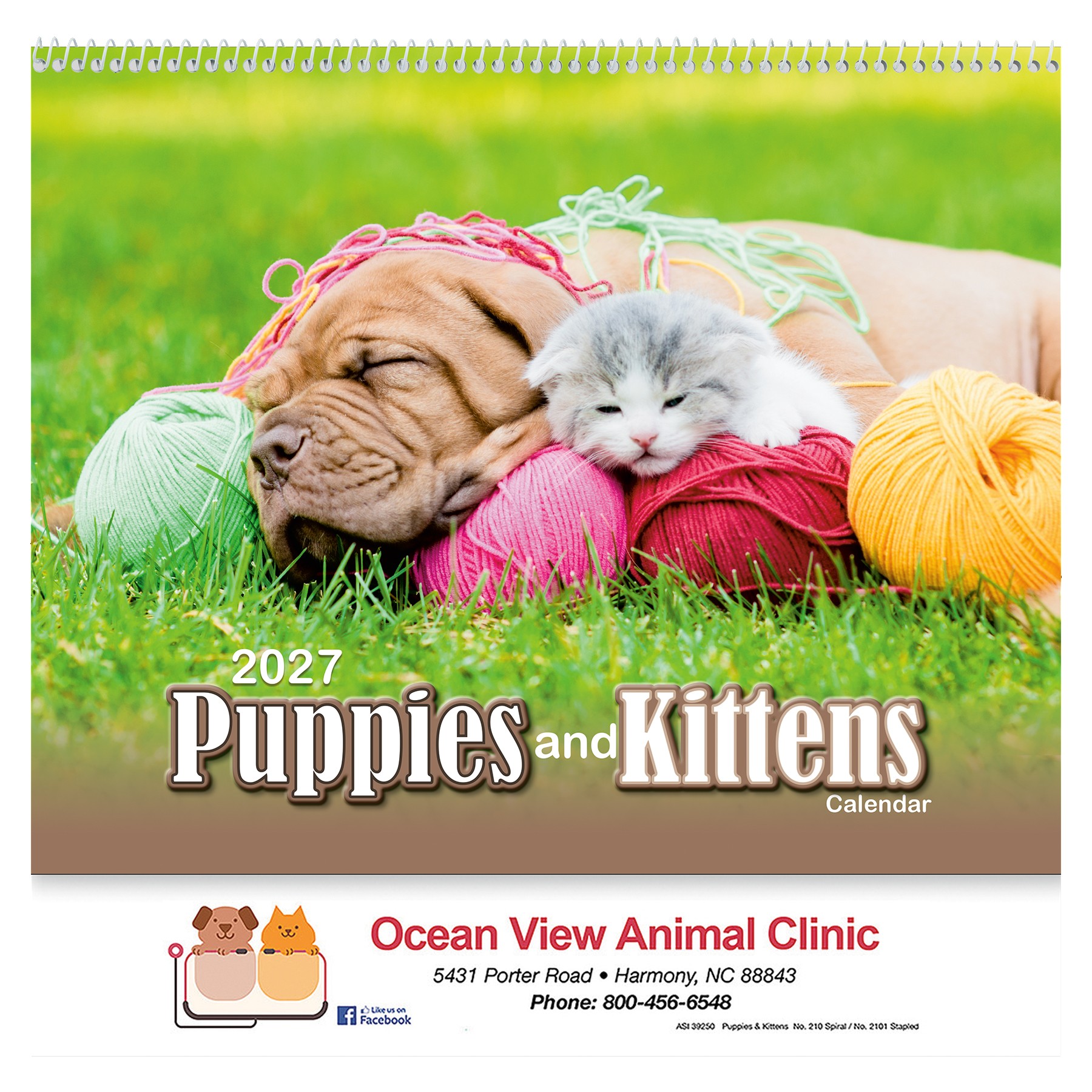 Picture of Puppies & Kittens Wall Calendar: 2027 Spiral Bound