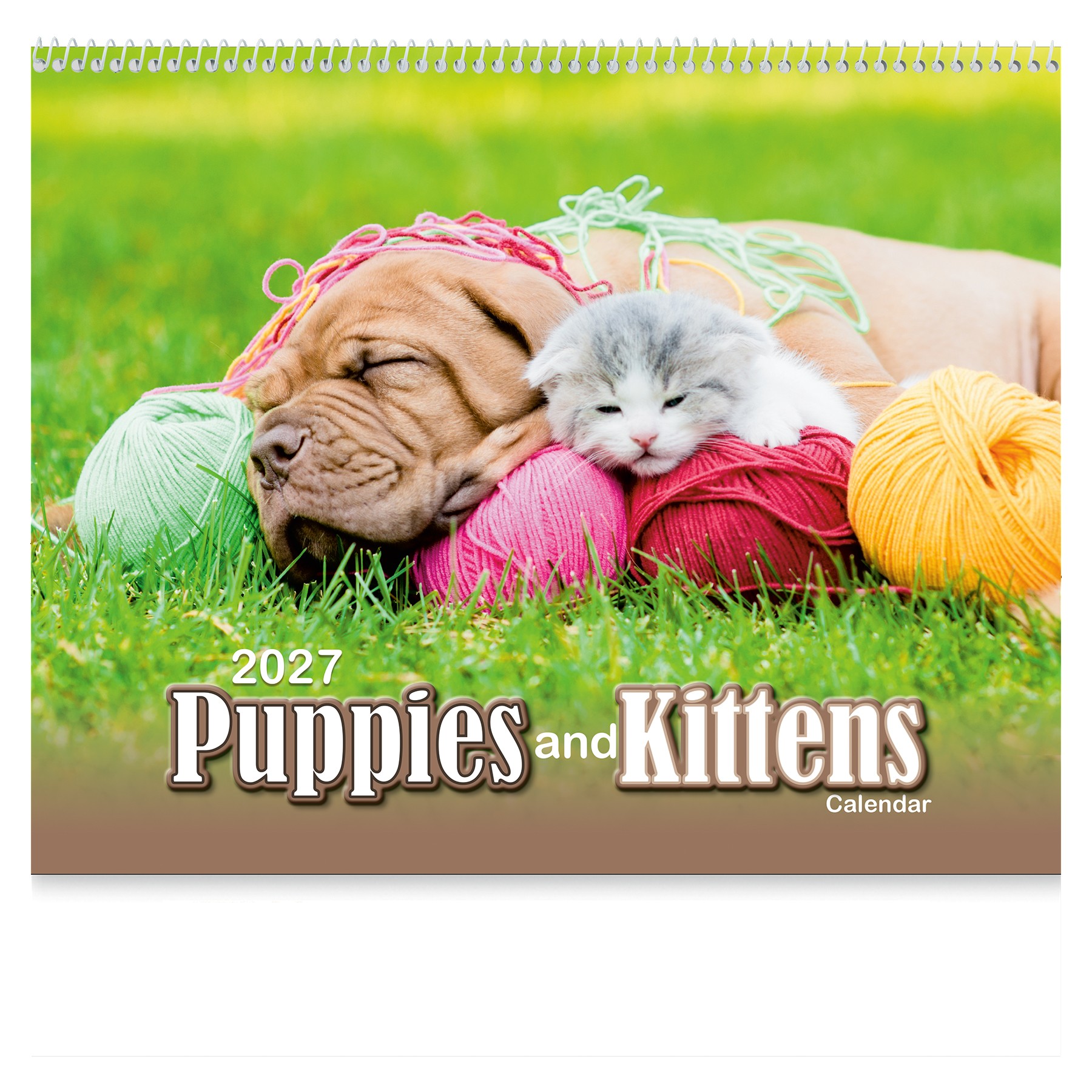 Picture of Puppies & Kittens Wall Calendar: 2027 Spiral Bound