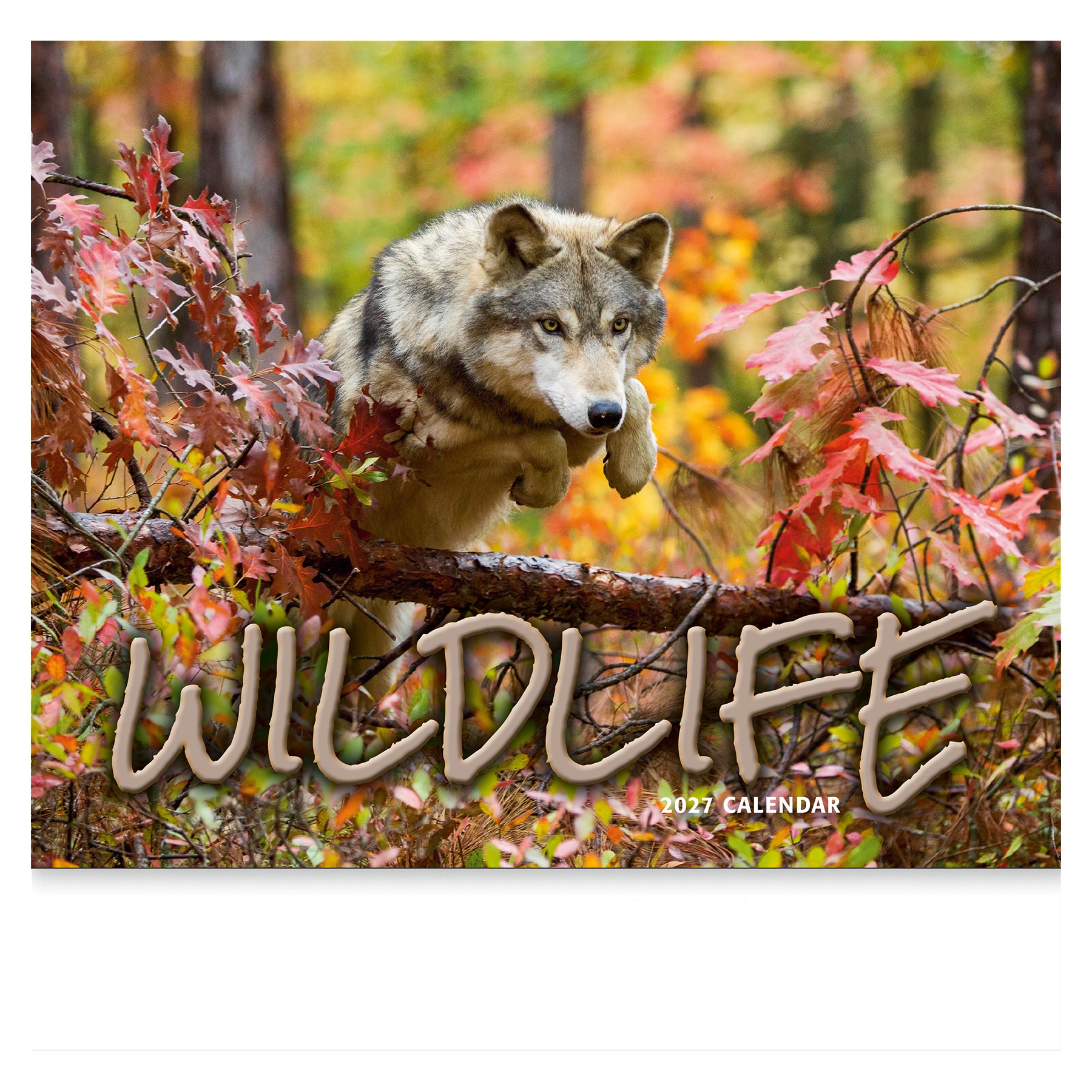 Picture of Wildlife Wall Calendar: 2027 Stapled