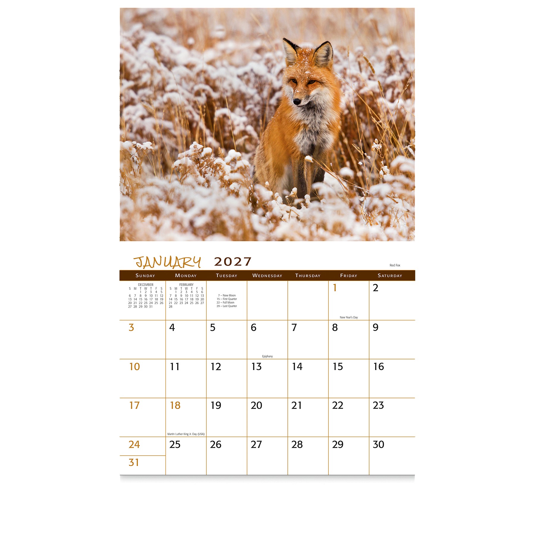 Picture of Wildlife Wall Calendar: 2027 Stapled
