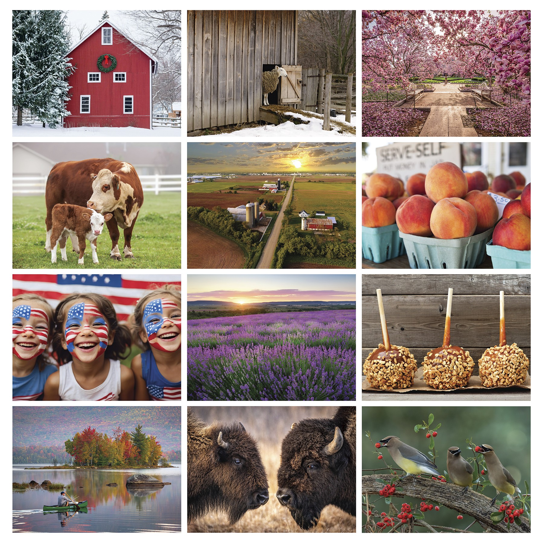 Picture of The Old Farmer's Almanac® Country: 2027 Spiral Bound