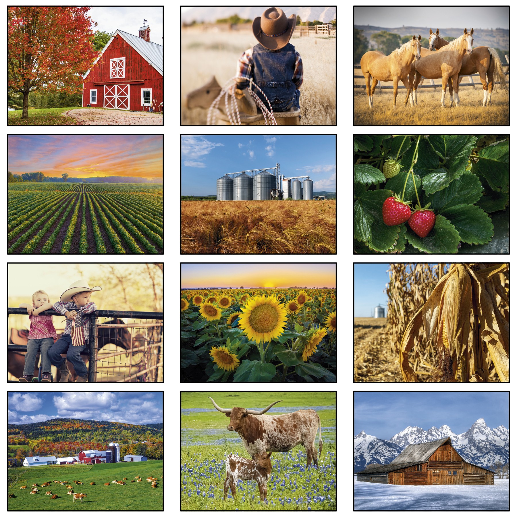 Picture of American Agriculture Wall Calendar: 2027 Stapled