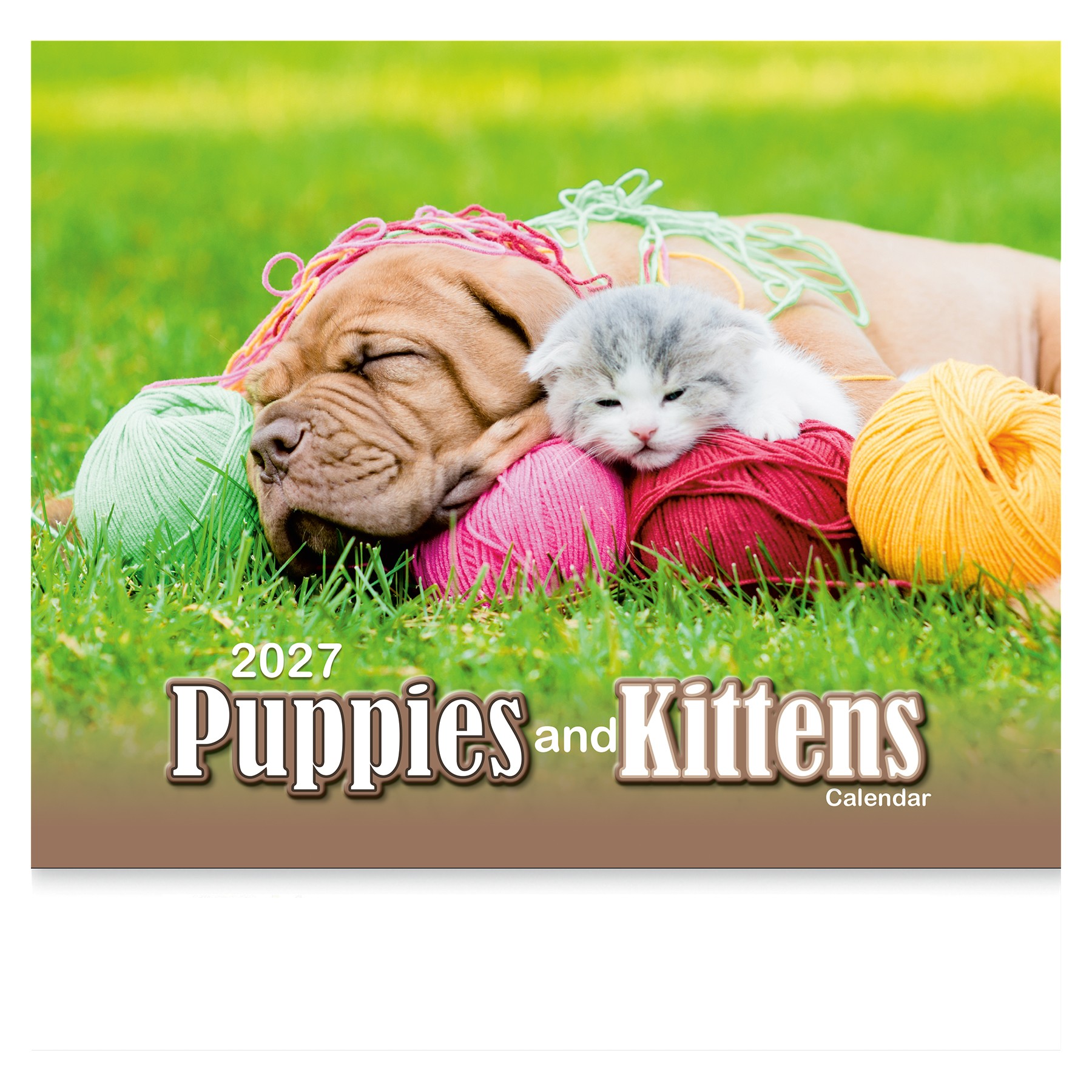 Picture of Puppies & Kittens Wall Calendar: 2027 Stapled
