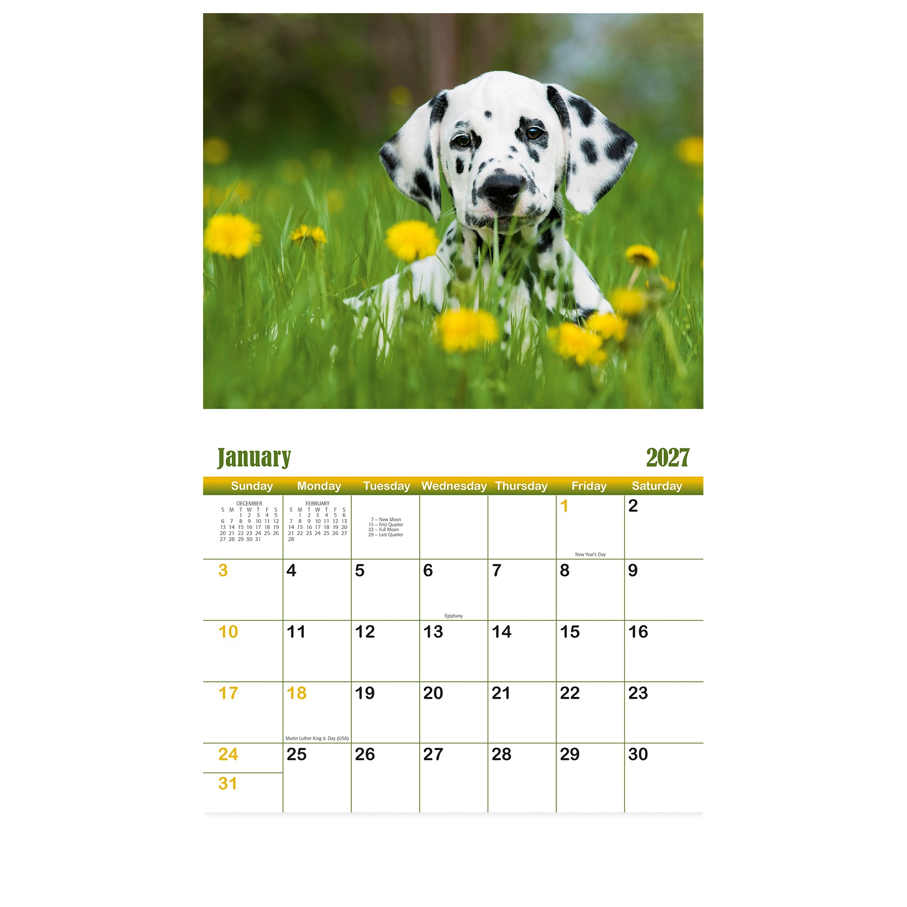 Picture of Puppies & Kittens Wall Calendar: 2027 Stapled