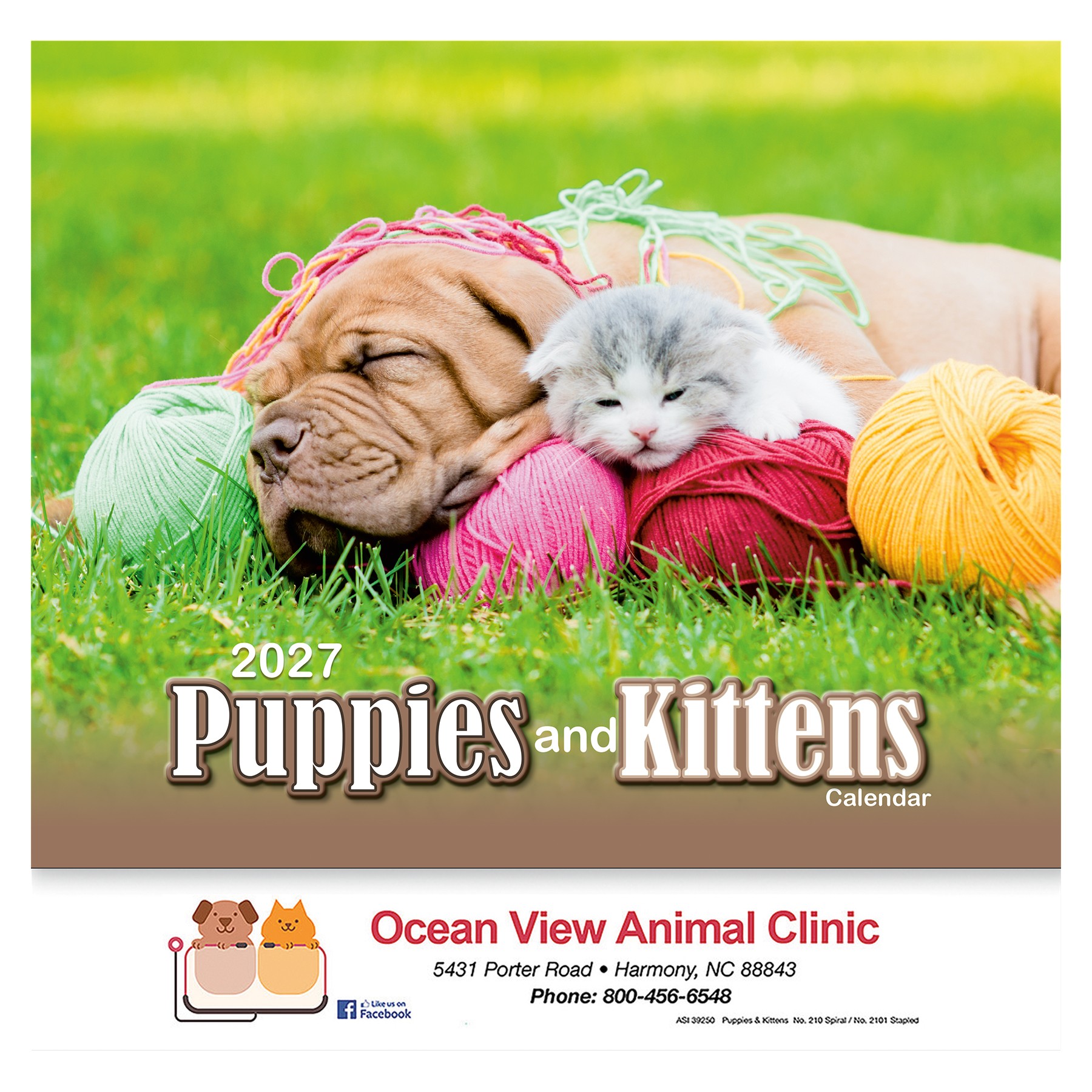 Picture of Puppies & Kittens Wall Calendar: 2027 Stapled