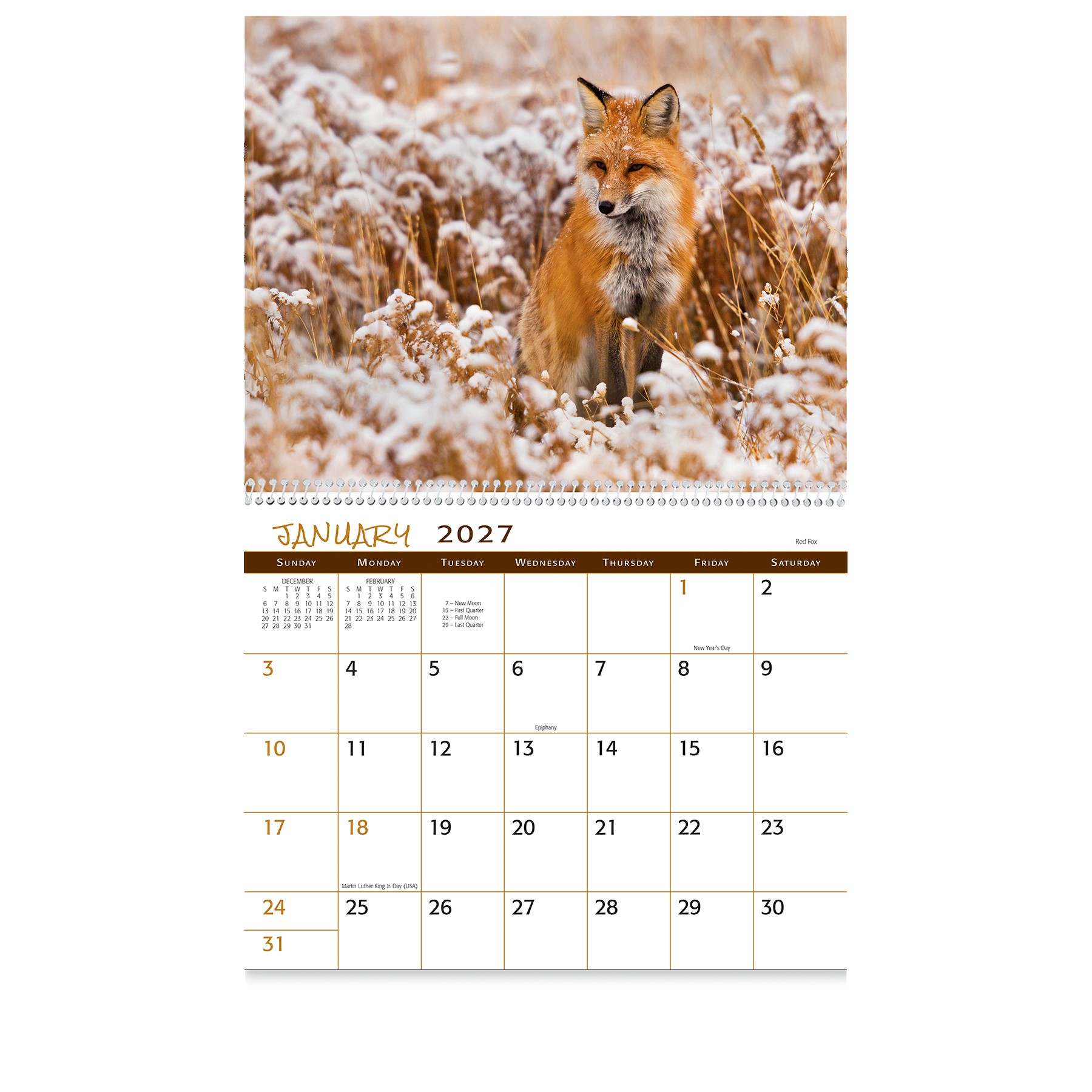 Picture of Wildlife Wall Calendar: 2027 Spiral Bound